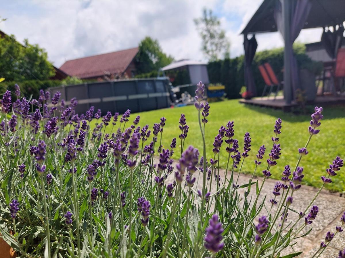 Apartma Zirovnik Cerklje na Gorenjskem Exteriér fotografie